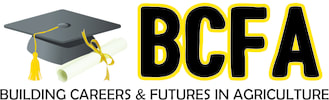 BCFA Bursary